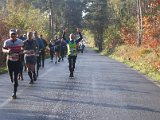 Kasterlee 2017 - 079.jpg